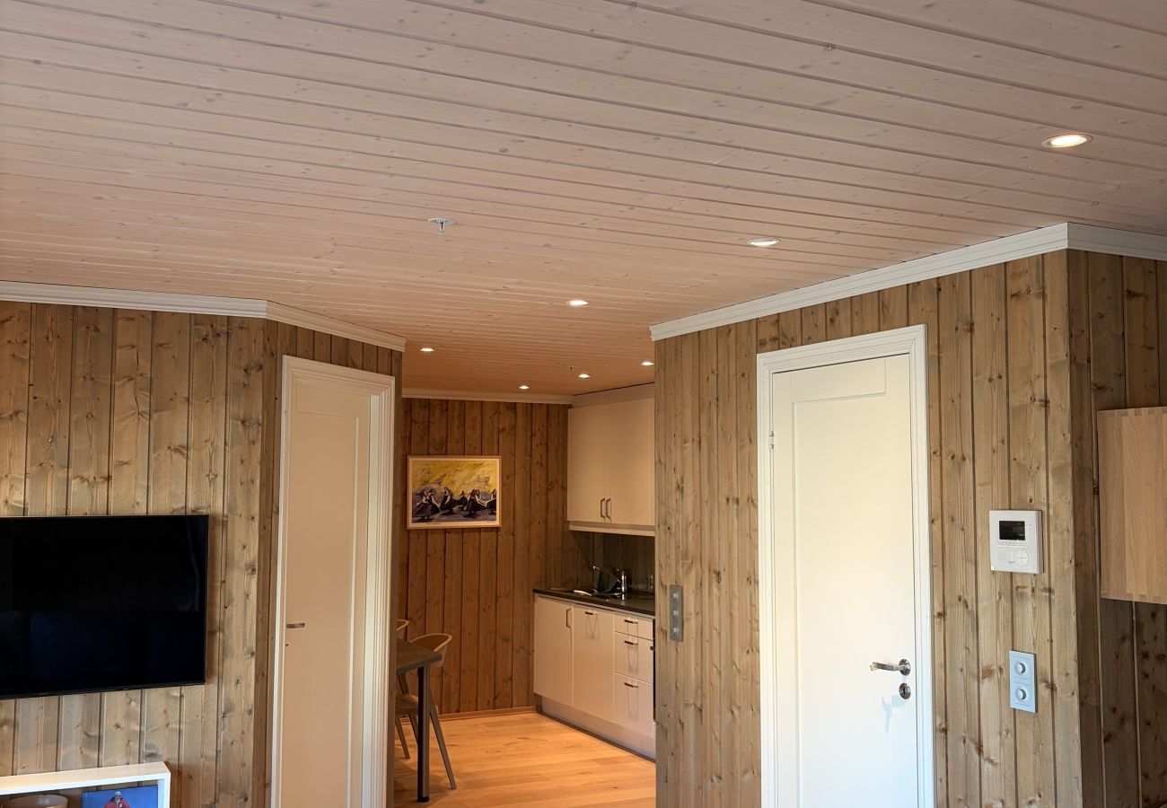 Apartment in Hol - Apartment in the Center of Geilo