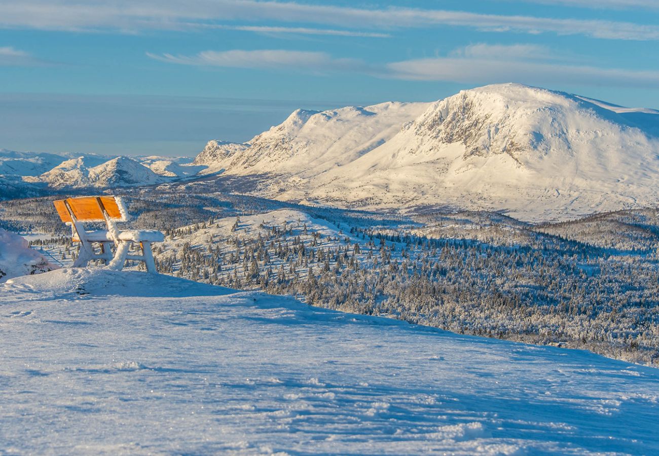 Apartment in Gol - Modern apartment in Golsfjellet