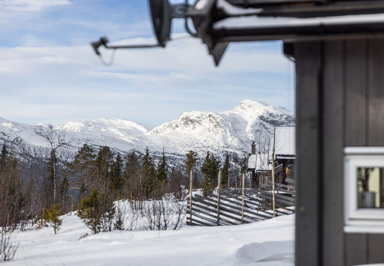 Cottage in Hemsedal - Gullstrupa, spacious family cabin in Hemsedal