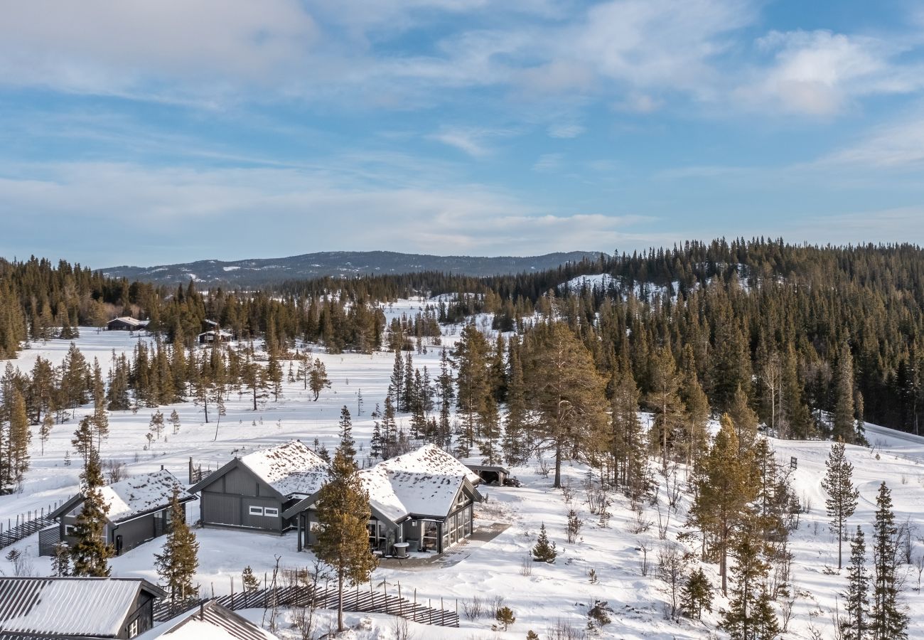 Cottage in Hemsedal - Gullstrupa, spacious family cabin in Hemsedal