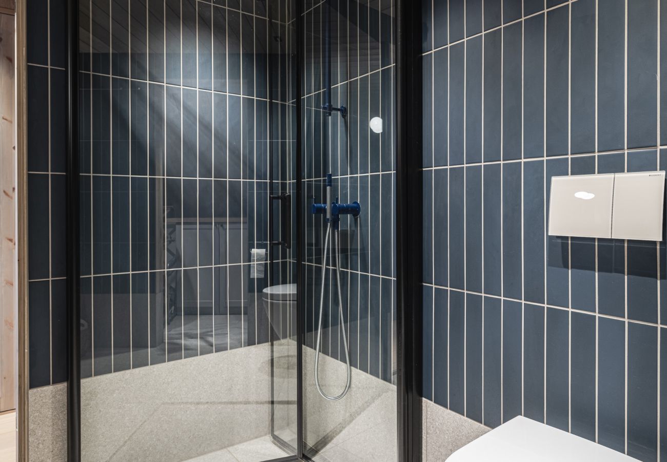 Apartment in Hol - High-end luxury penthouse, Geilo