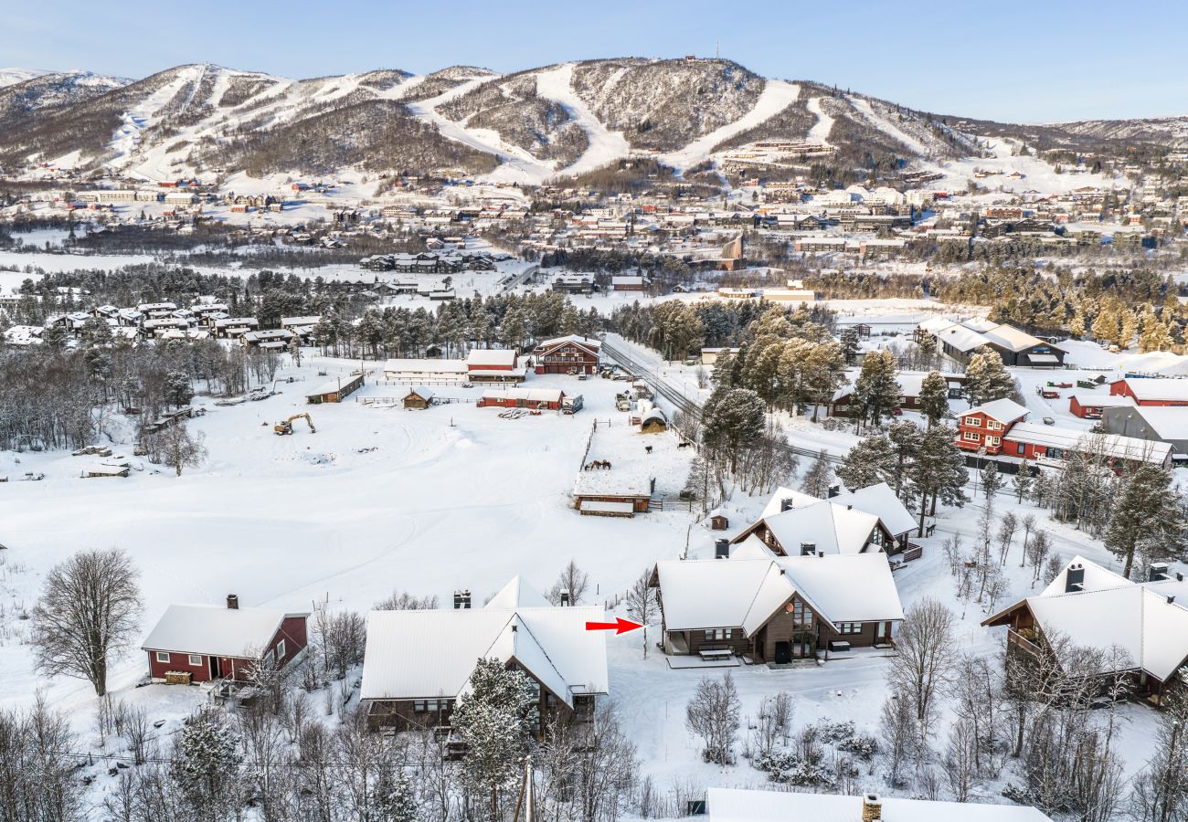Apartment in Hol - High-end luxury penthouse, Geilo