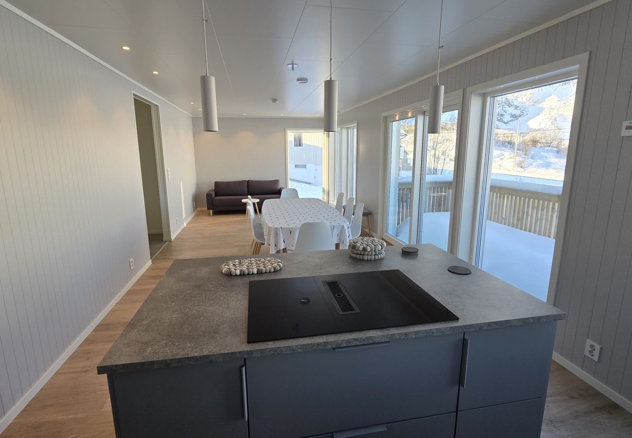 House in Ballstad - Skottinden view, Lofoten