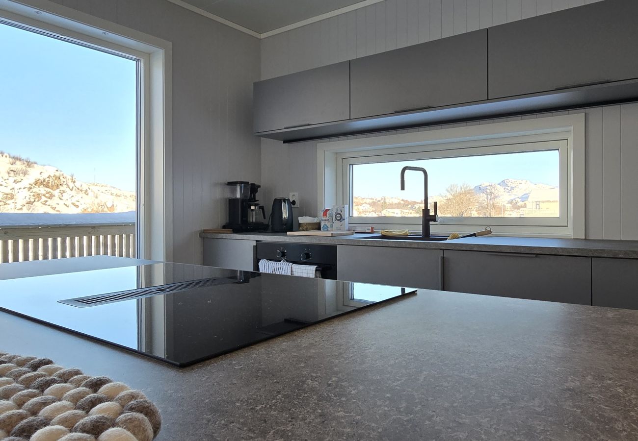 House in Ballstad - Skottinden view, Lofoten