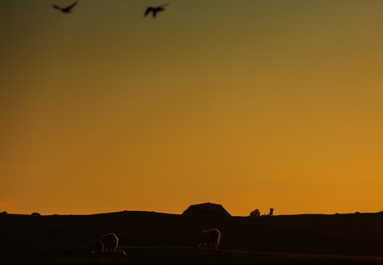 House in Flakstad - Fredly, beautiful home in Fredvang