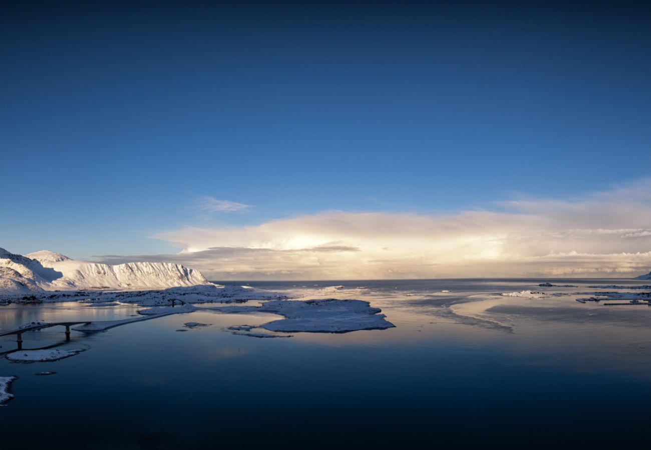 House in Flakstad - Fredly, beautiful home in Fredvang