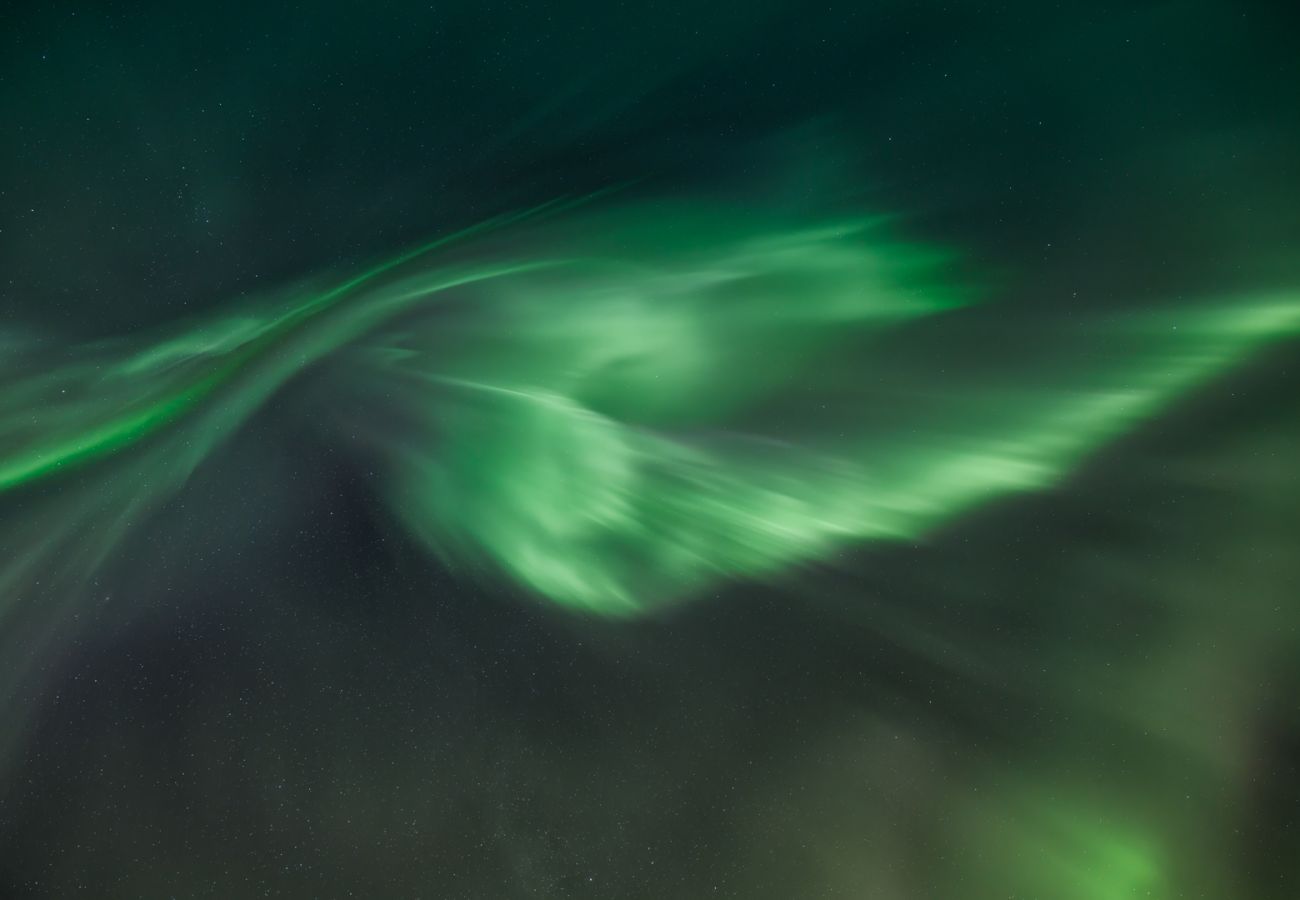 House in Flakstad - Fredly, beautiful home in Fredvang