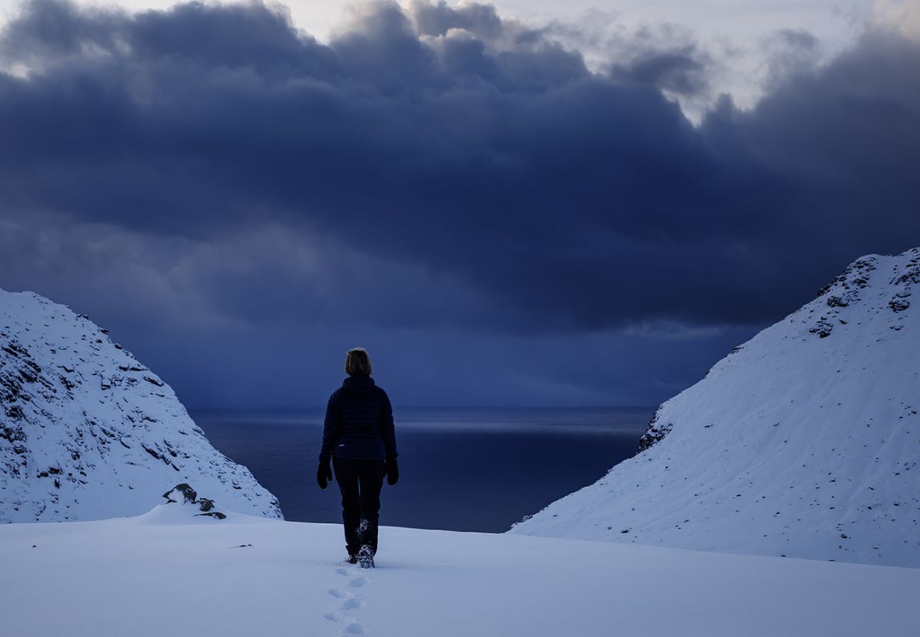 House in Flakstad - Fredly, beautiful home in Fredvang