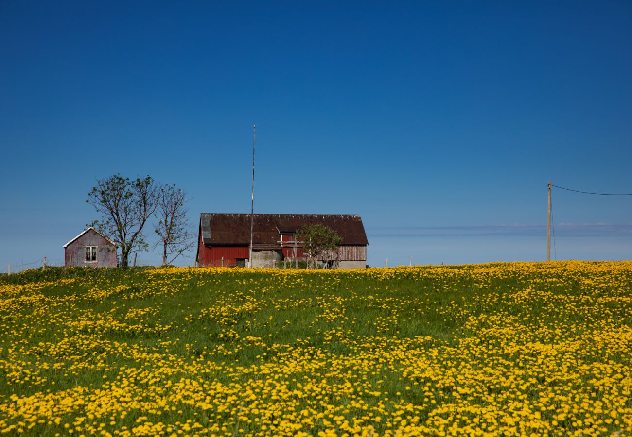 House in Flakstad - Fredly, beautiful home in Fredvang