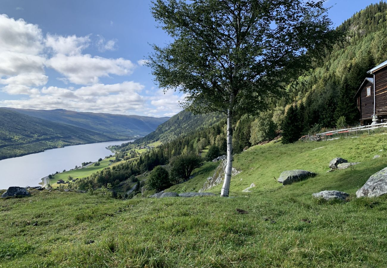 House in Ål - Architect designed sleeping box in barn
