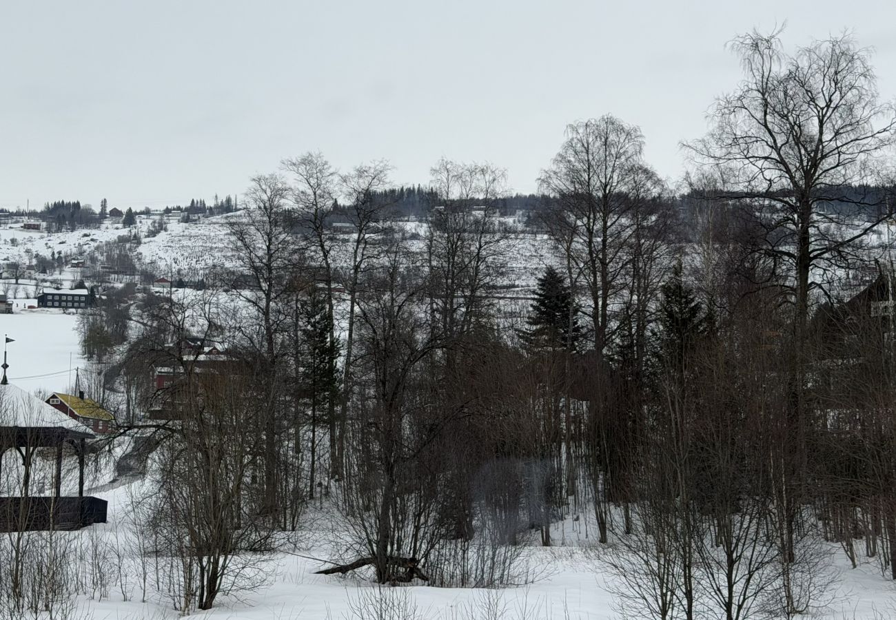 Apartment in Gudbrandsdalen - Spacious apartment in Follebu