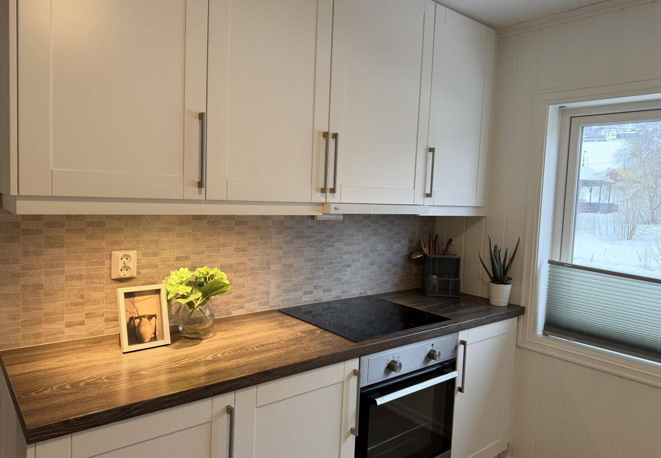 Apartment in Gudbrandsdalen - Spacious apartment in Follebu