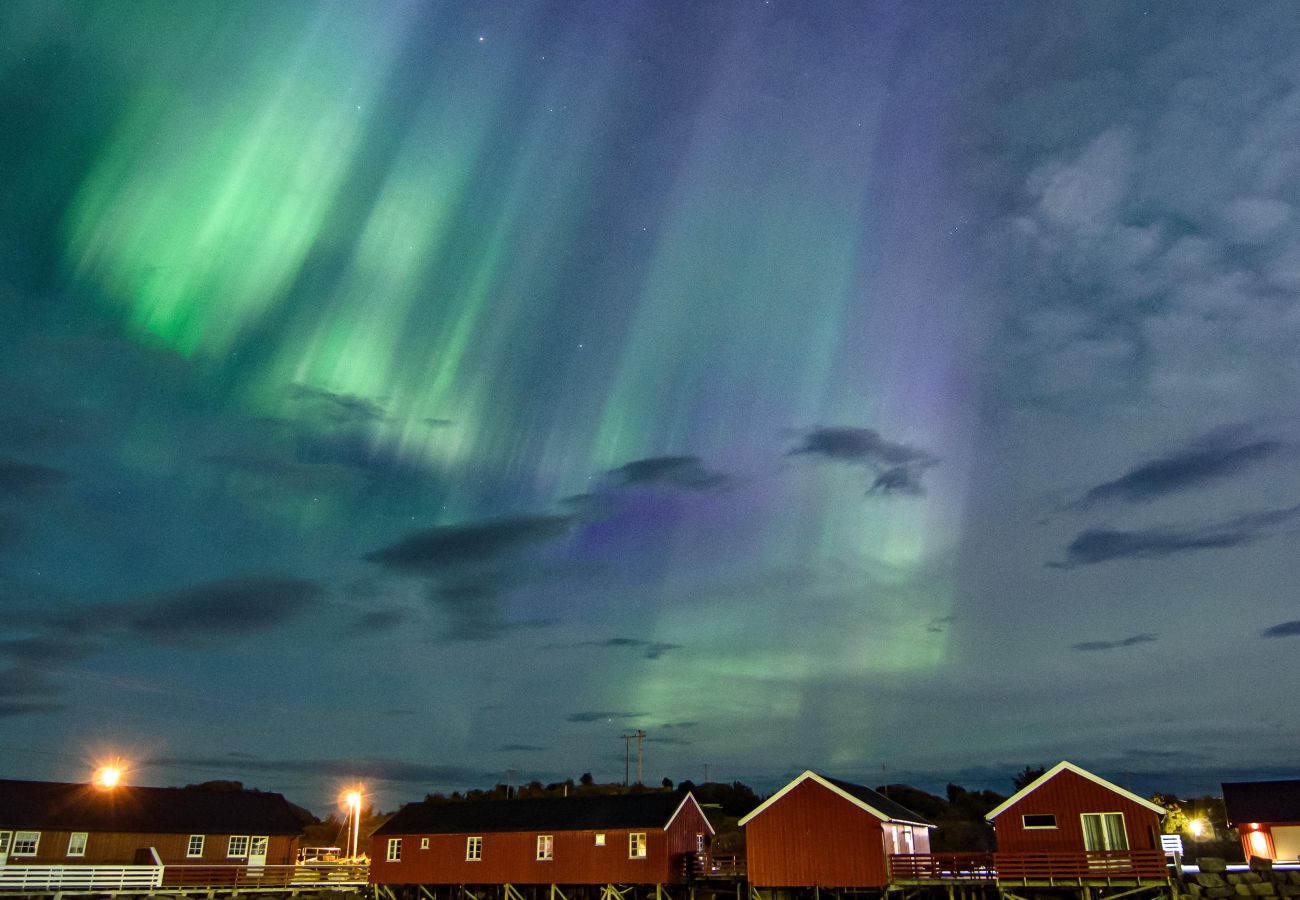 Cottage in Stamsund - Waterfront Twin Cabin A