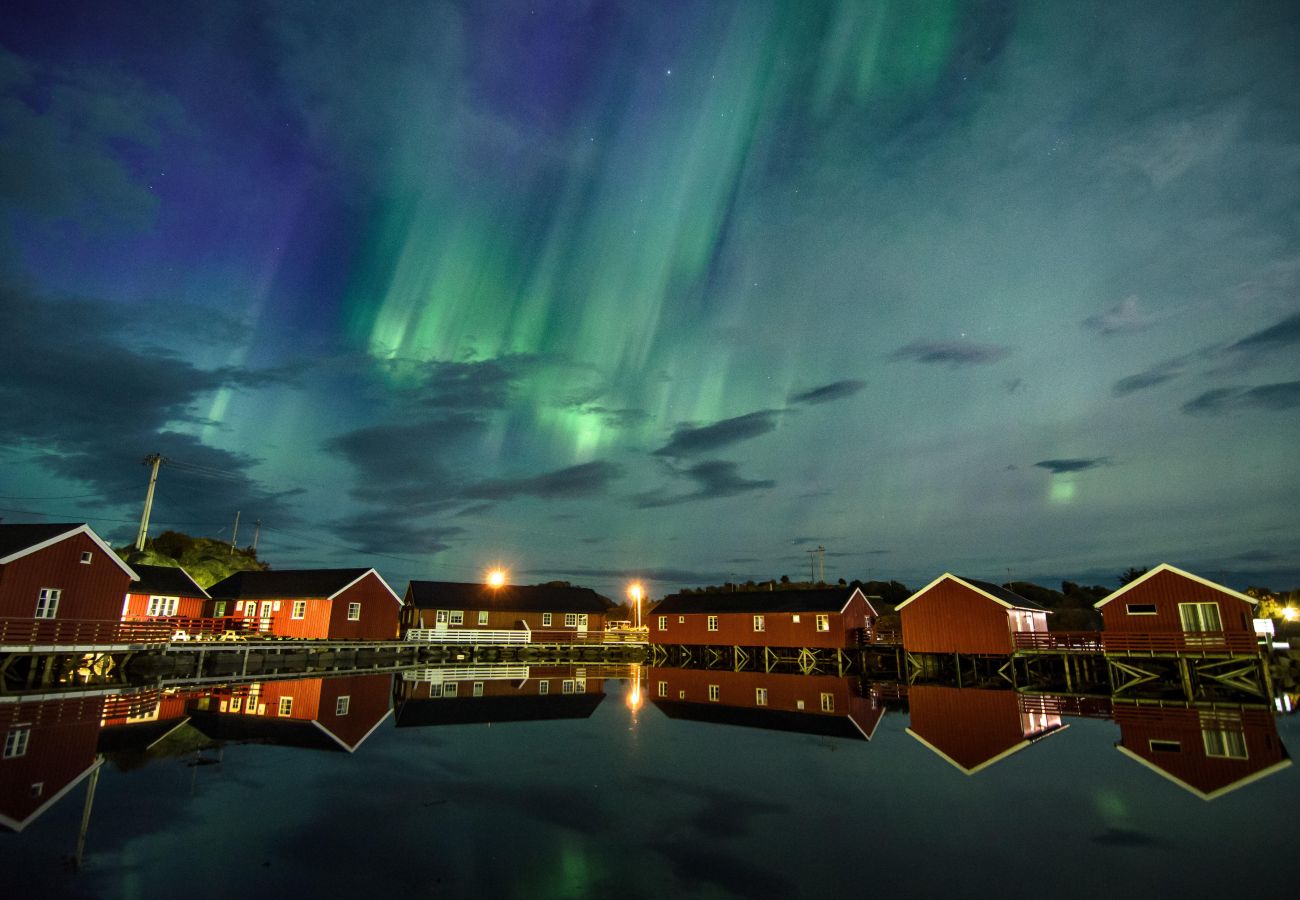 Cottage in Stamsund - Waterfront Twin Cabin B