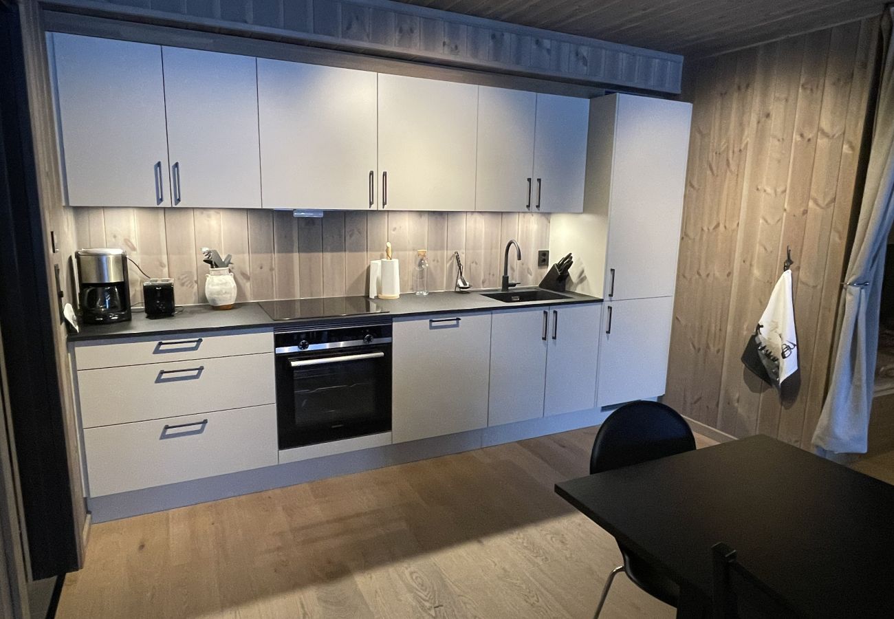 Apartment in Hemsedal - Charming new ski-in/ski-out apartment in Hemsedal