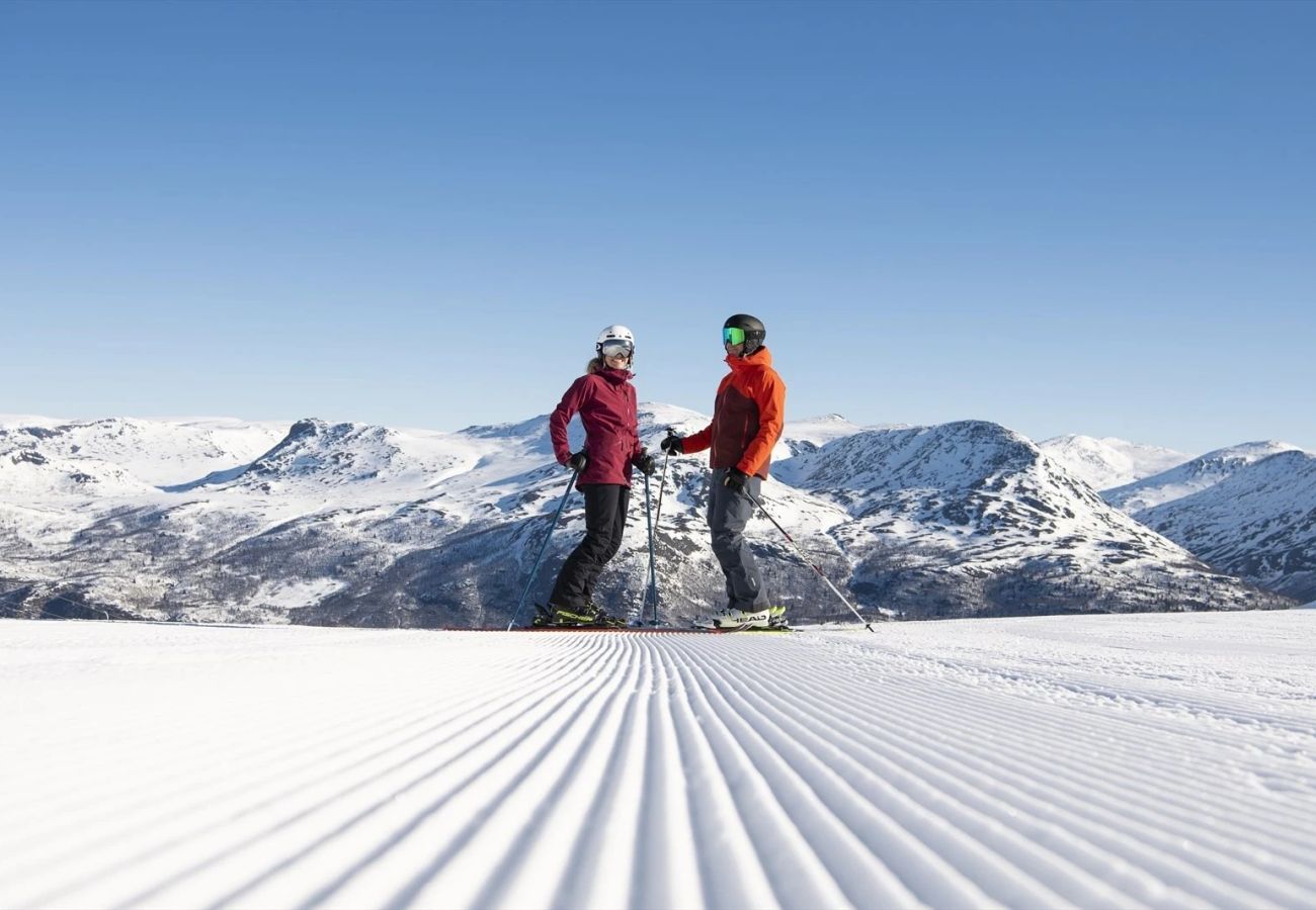 Apartment in Hemsedal - Charming new ski-in/ski-out apartment in Hemsedal