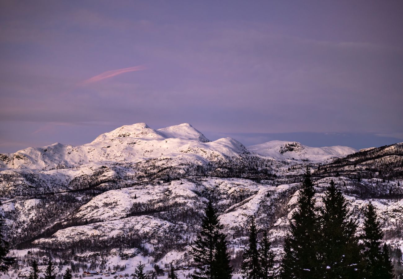 Apartment in Hemsedal - Charming new ski-in/ski-out apartment in Hemsedal