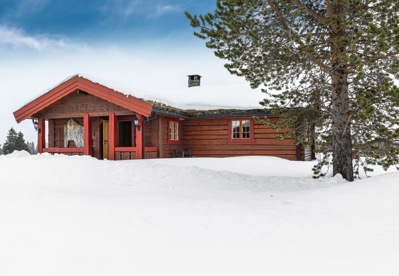 Cottage in Gol - Øynebråten Støl, Golsfjellet