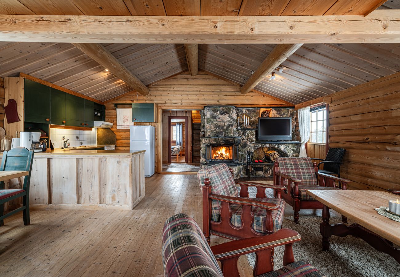 Cottage in Gol - Øynebråten Støl, Golsfjellet