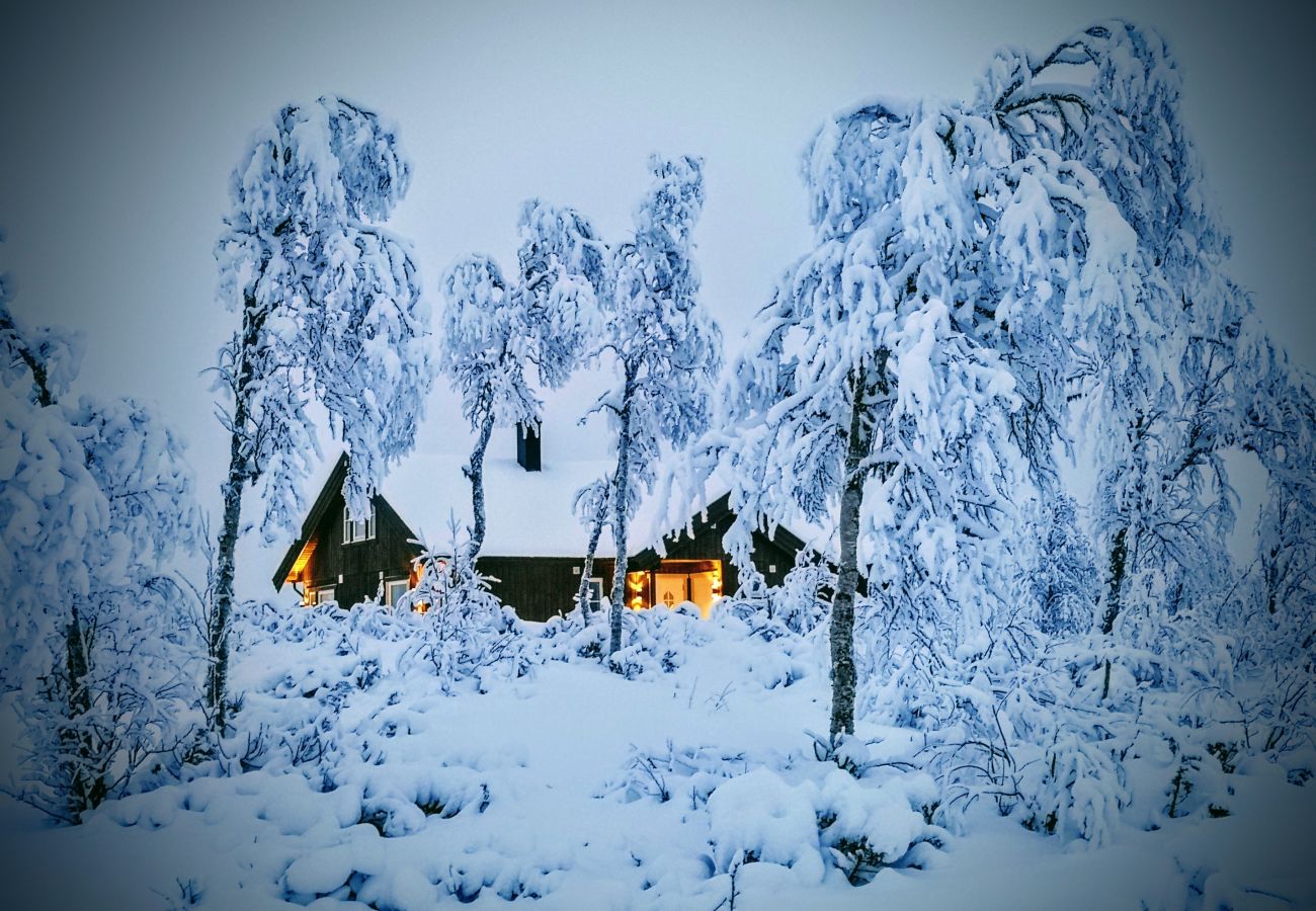 Cottage in Hol - Cosy mountain cabin with jacuzzi
