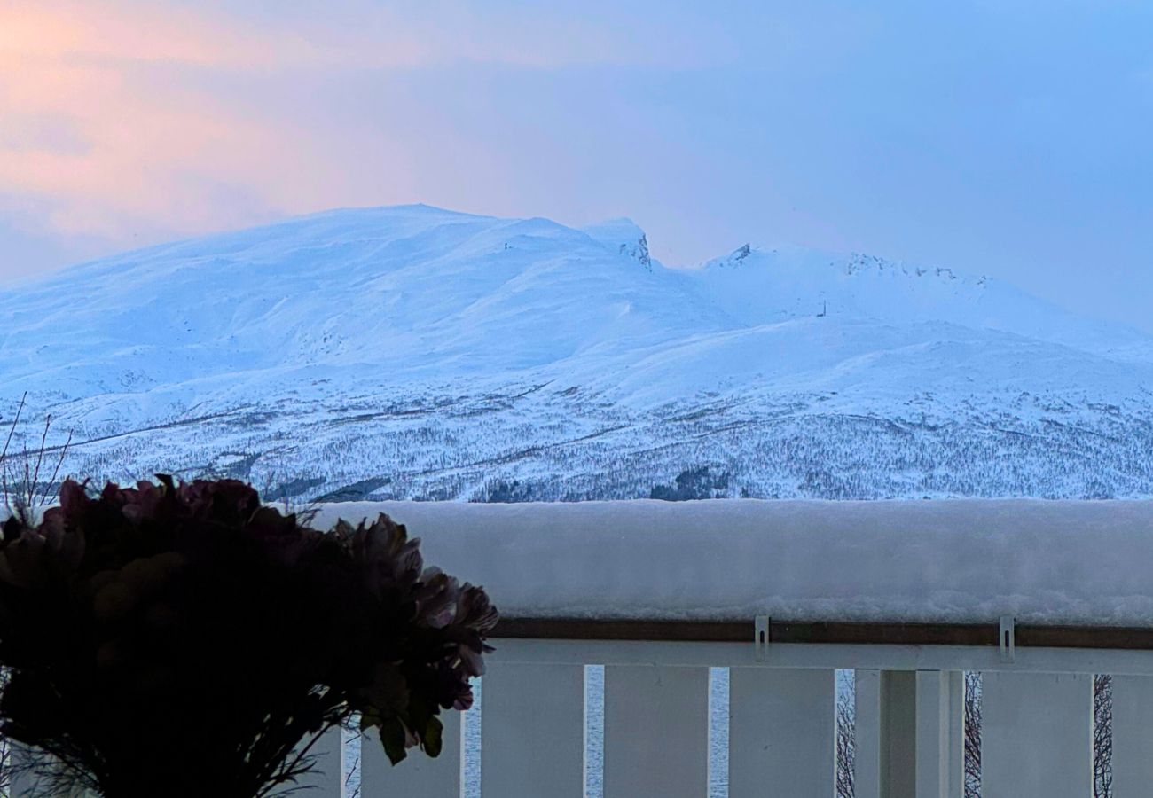 House in Tromsø - Exclusive Northernlight villa at Sørtromsøya