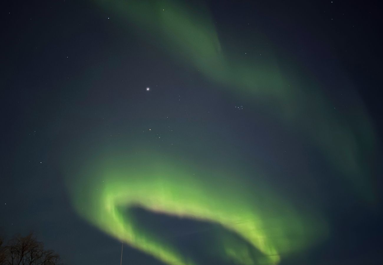 House in Tromsø - Exclusive Northernlight villa at Sørtromsøya