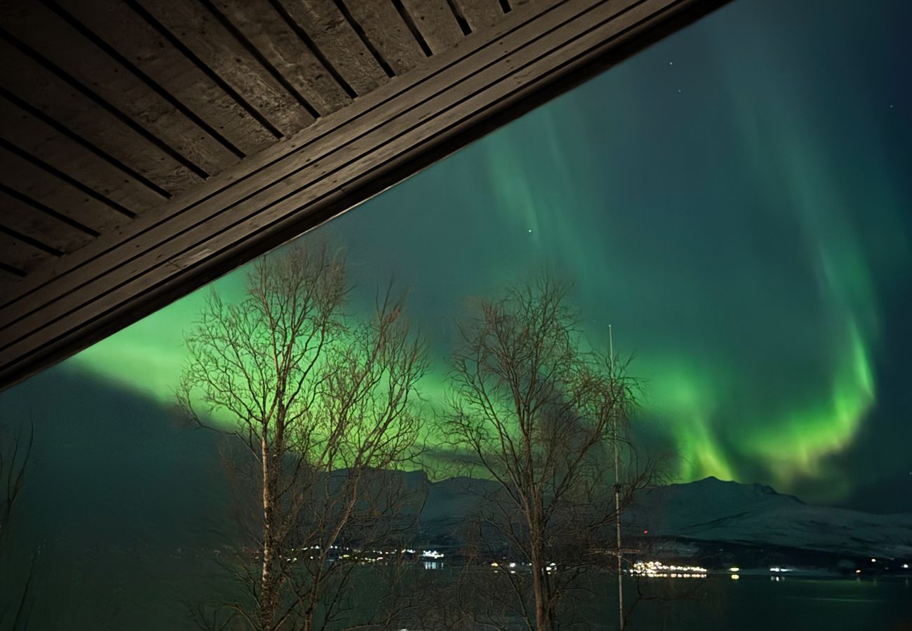 House in Tromsø - Exclusive Northernlight villa at Sørtromsøya