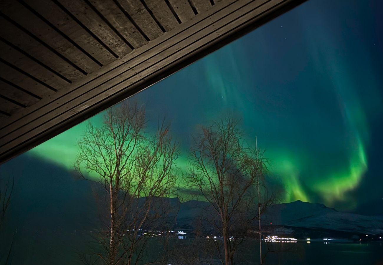 House in Tromsø - Exclusive Northernlight villa at Sørtromsøya