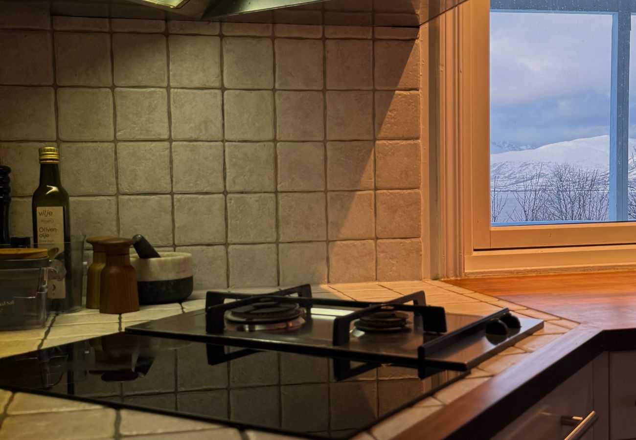 House in Tromsø - Exclusive Northernlight villa at Sørtromsøya