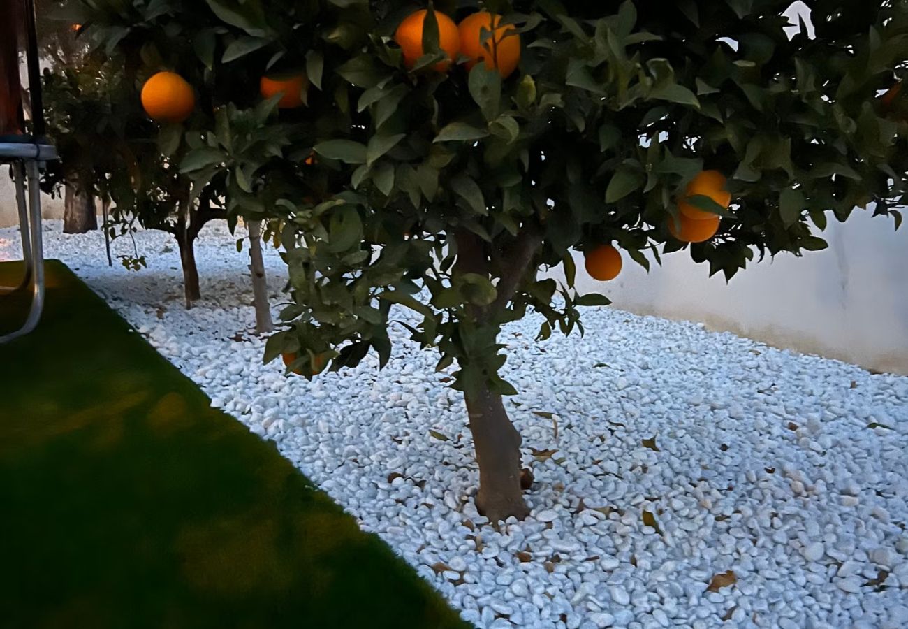 House in Ciudad Quesada - Calle Algarrobos Pool Villa