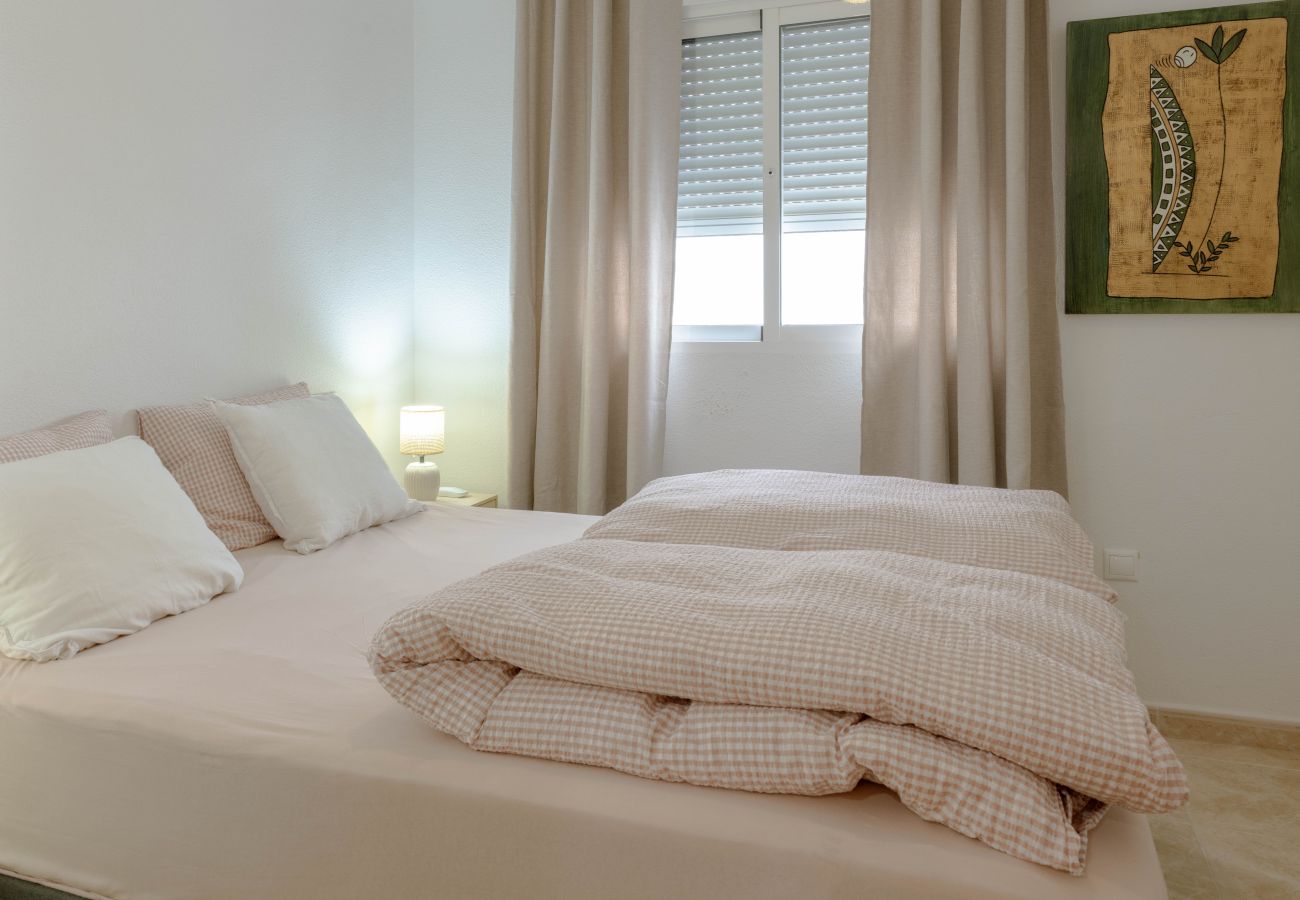 Apartment in Torrevieja - Casa Ane