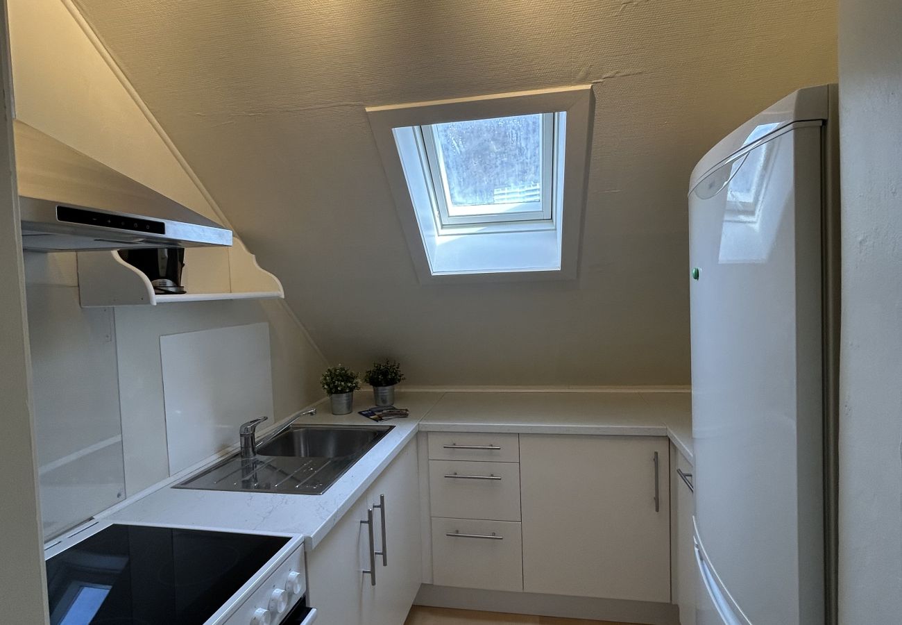 Apartment in Bergen - Central loft with parking in Bergen