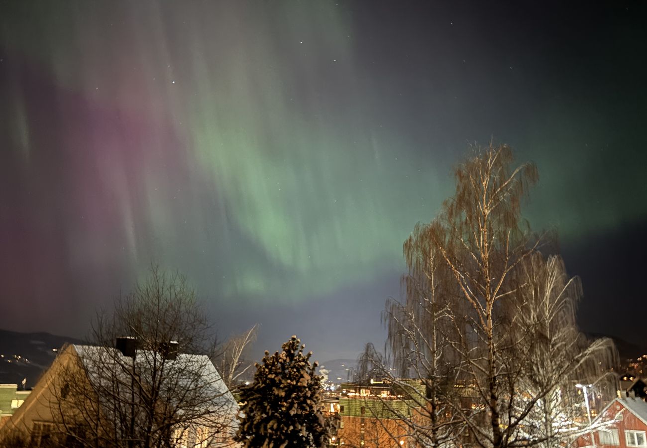 House in Lillehammer - Spacious Villa in Lillehammer