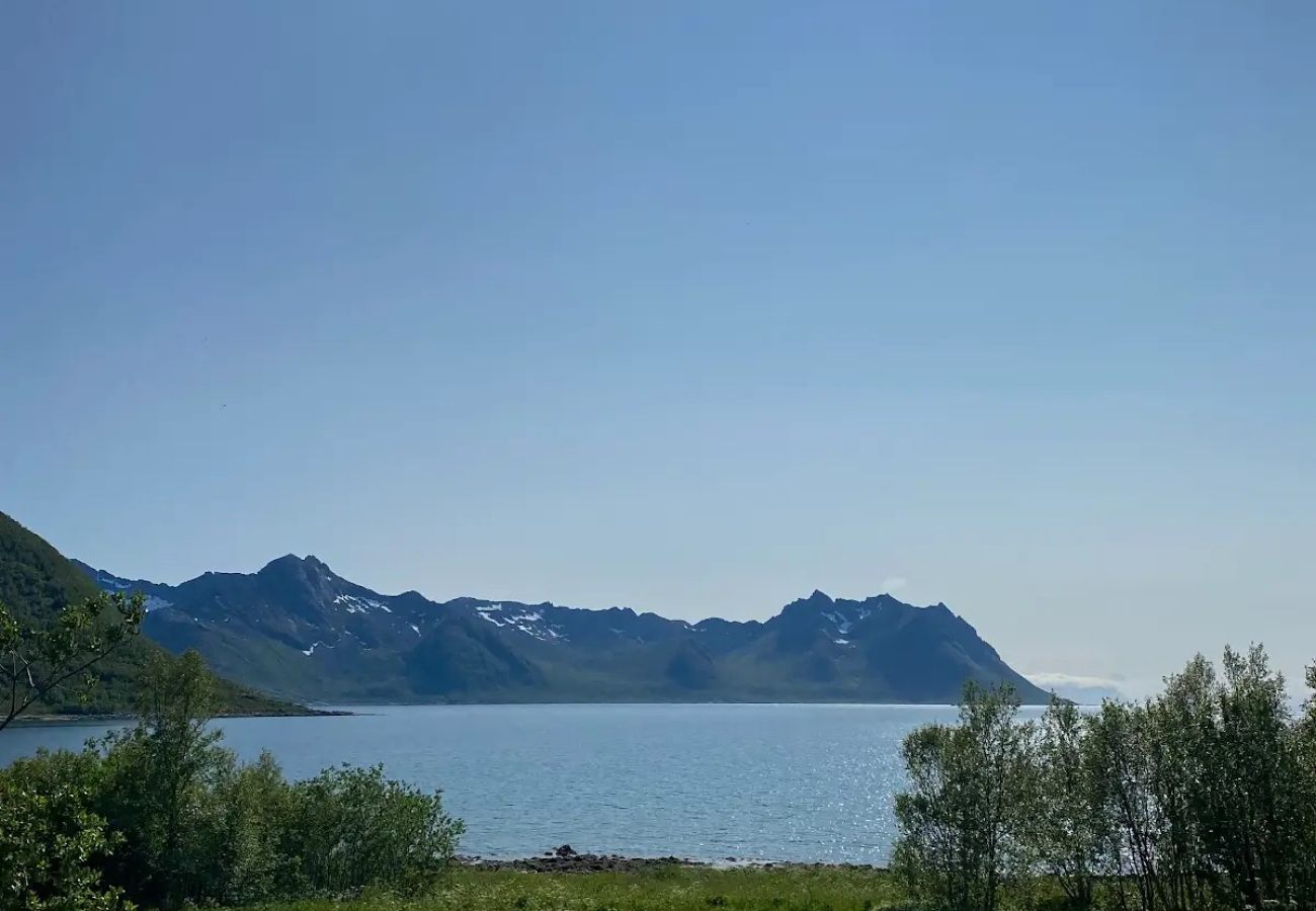 Cottage in Senja - Charming cottage with seaview in Senja