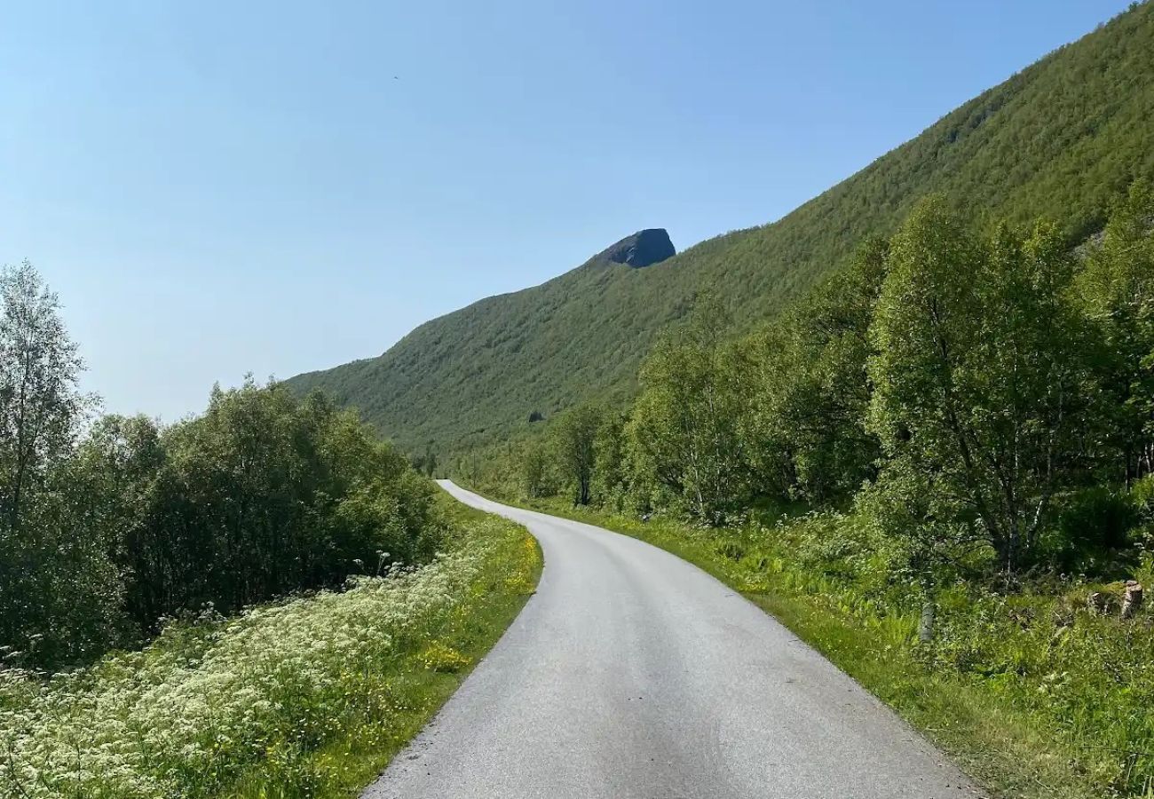 Cottage in Senja - Charming cottage with seaview in Senja