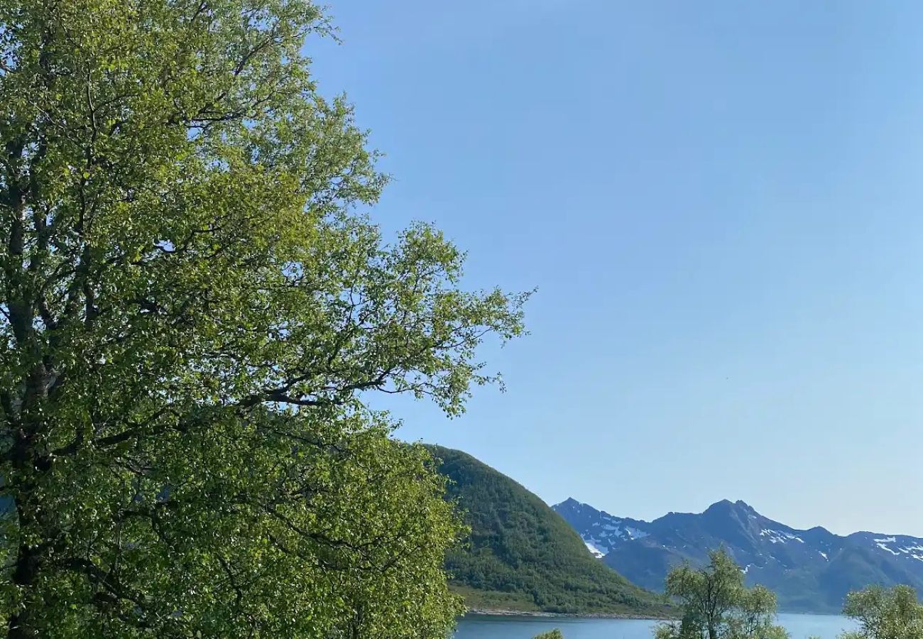 Cottage in Senja - Charming cottage with seaview in Senja