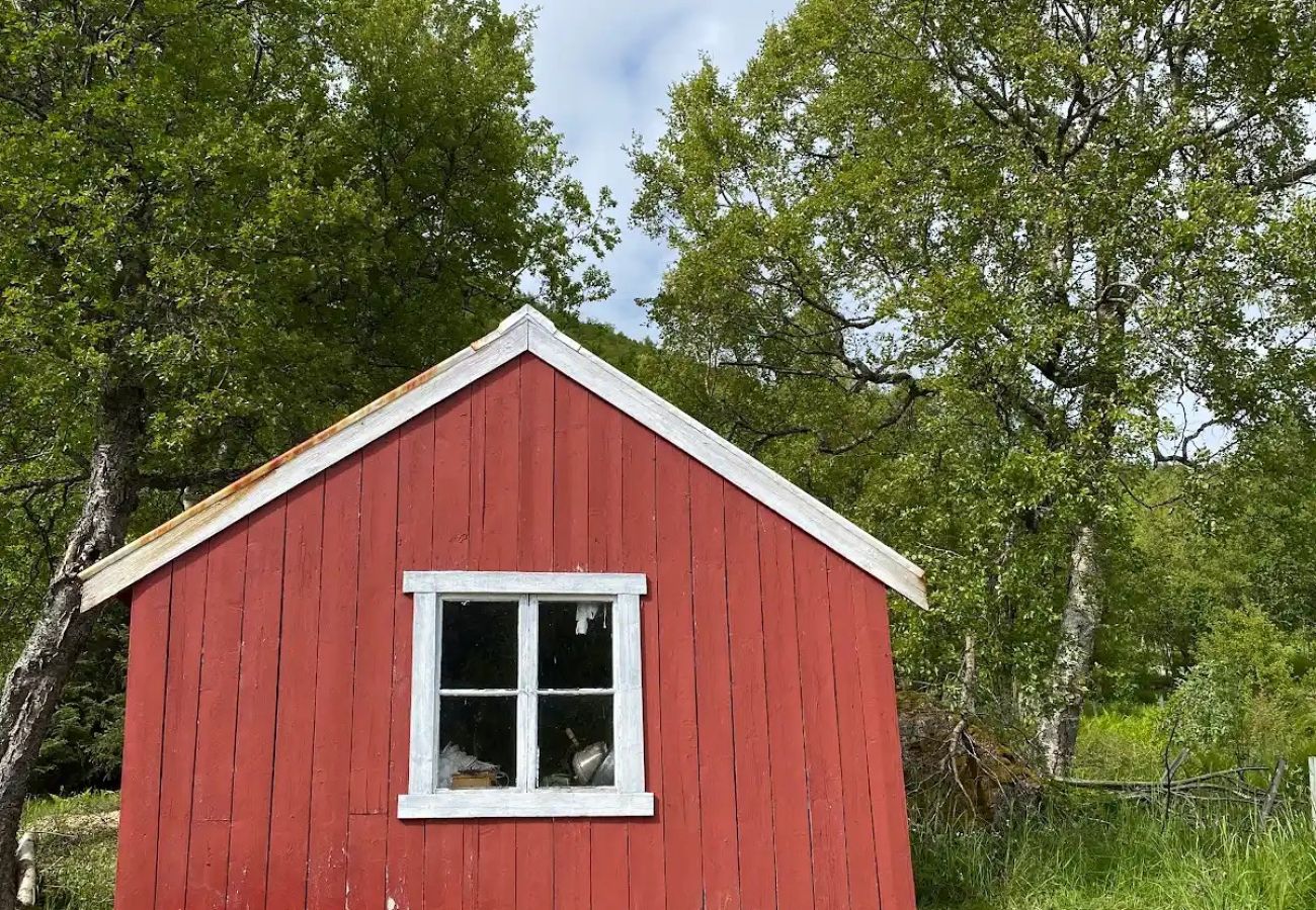 Cottage in Senja - Charming cottage with seaview in Senja
