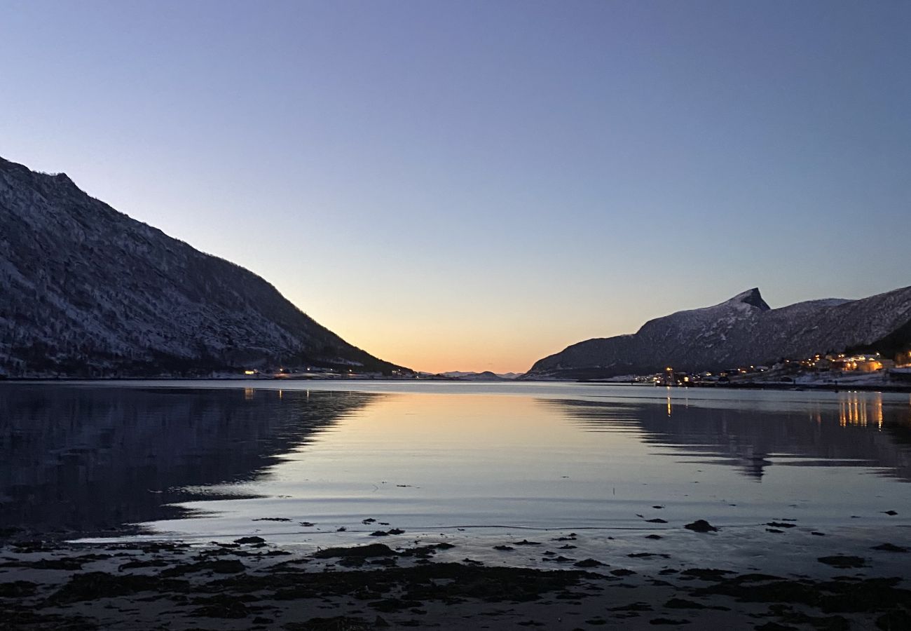 Cottage in Senja - Charming cottage with seaview in Senja