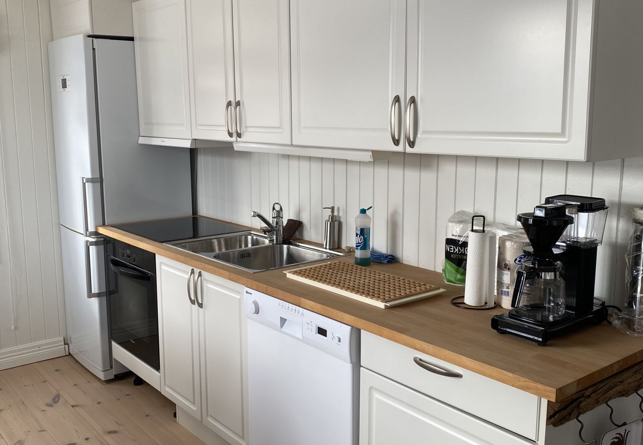 Cottage in Senja - Charming cottage with seaview in Senja
