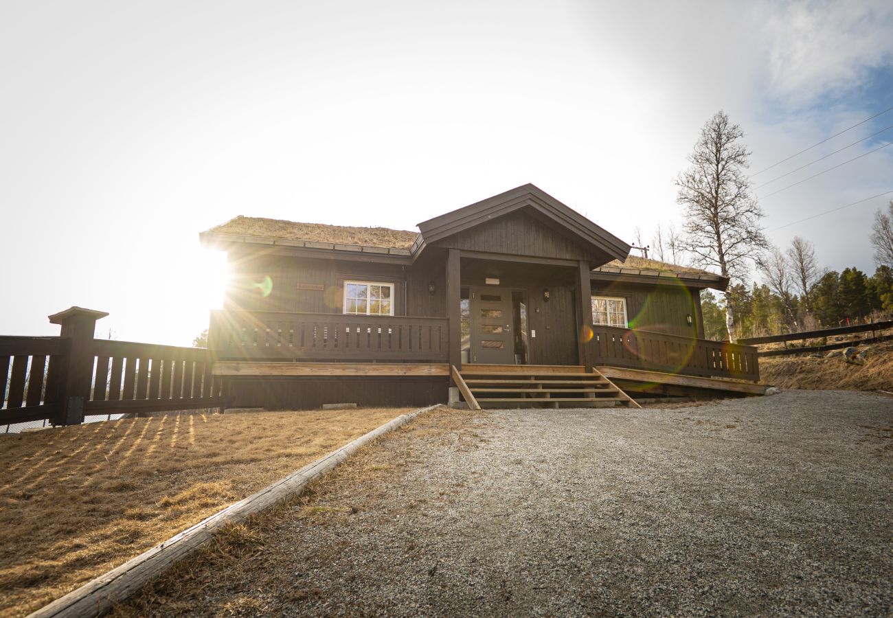 Cottage in Hol - Karstenstua