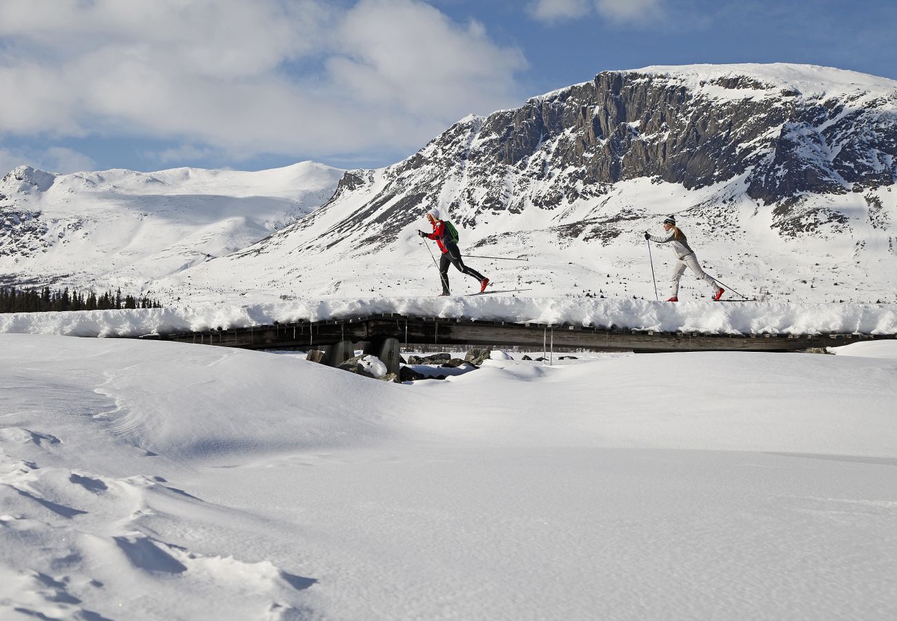 Apartment in Hemsedal - Ski inn/Ski out apartment Hemsedal