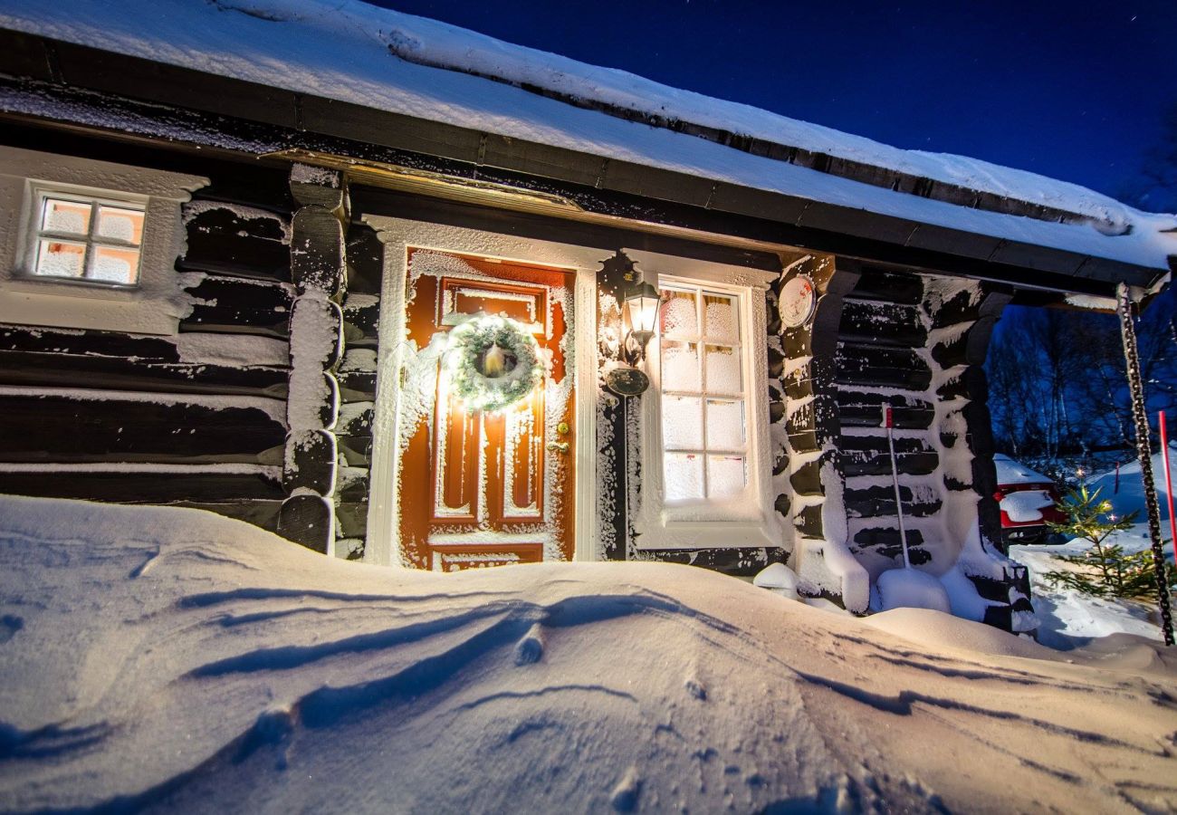 Cottage in Hol - Budalen, spacious cabin close to skitracks