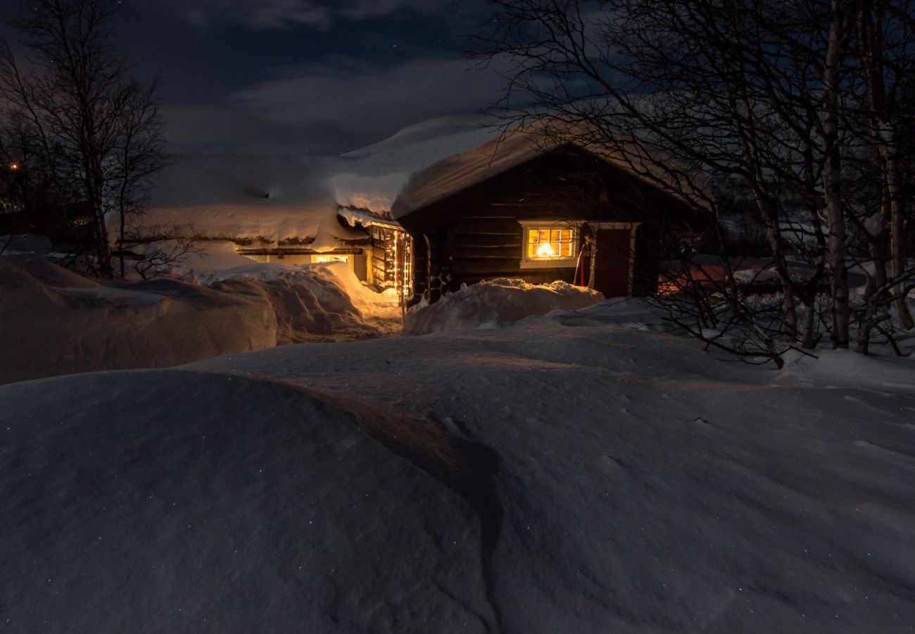 Cottage in Hol - Budalen, spacious cabin close to skitracks
