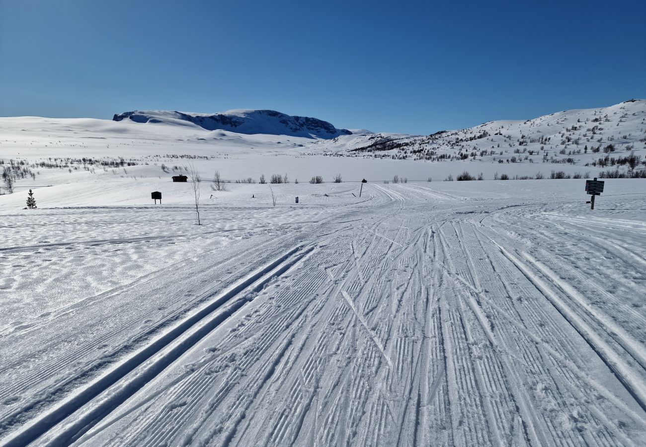 Cottage in Hol - Budalen, spacious cabin close to skitracks