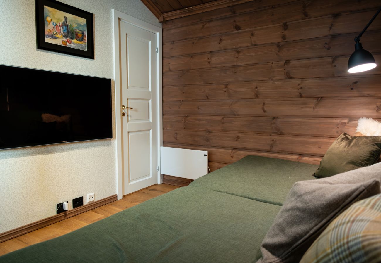 Cottage in Hol - Budalen, spacious cabin close to skitracks