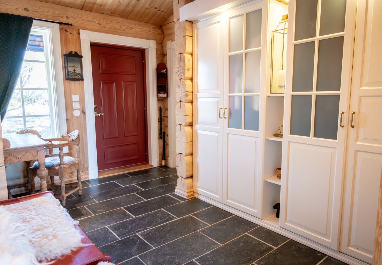 Cottage in Hol - Budalen, spacious cabin close to skitracks
