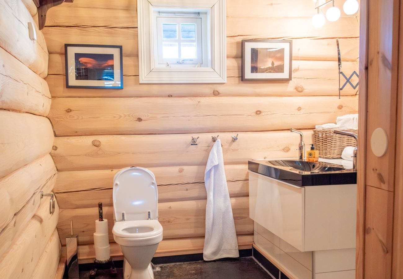 Cottage in Hol - Budalen, spacious cabin close to skitracks