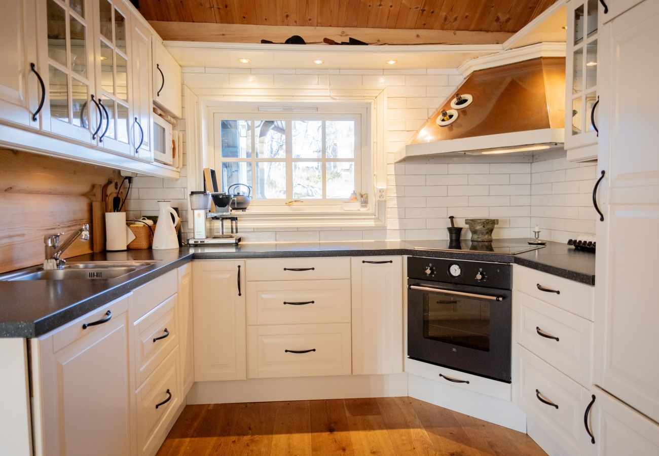 Cottage in Hol - Budalen, spacious cabin close to skitracks