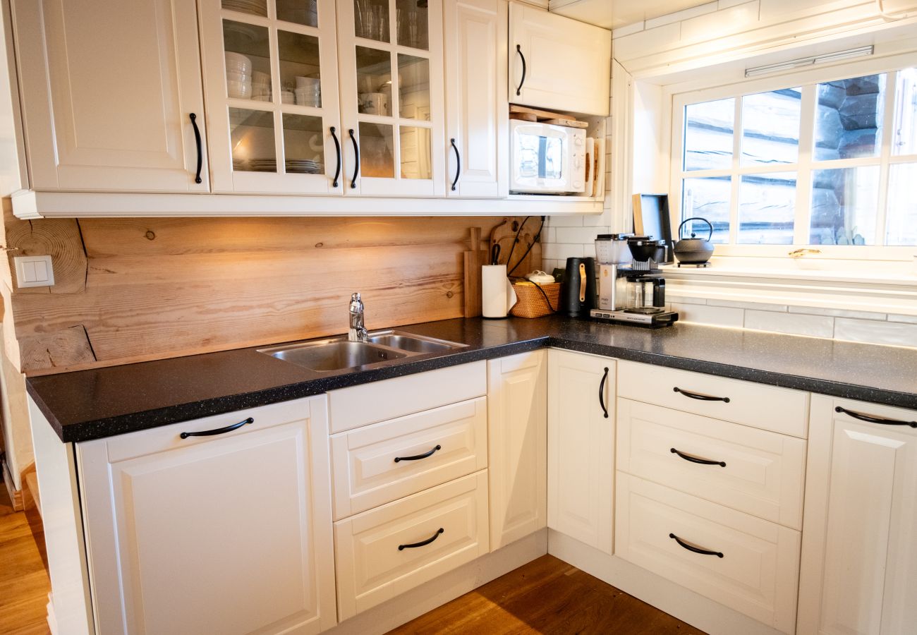 Cottage in Hol - Budalen, spacious cabin close to skitracks
