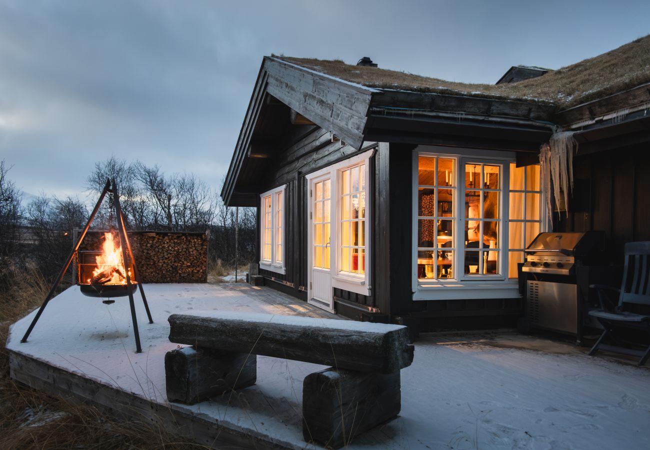 Cottage in Hol - Budalen, spacious cabin close to skitracks